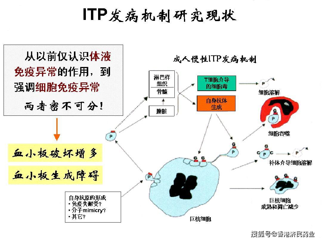 特发性血小板减少性紫癜的发病机制探析