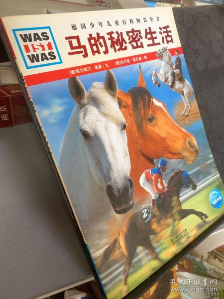 今日特马揭晓，探寻幸运的奥秘与期待