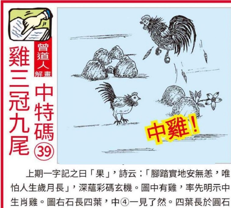蓝月亮马会精选资料大全，解锁赛马的智慧与魅力