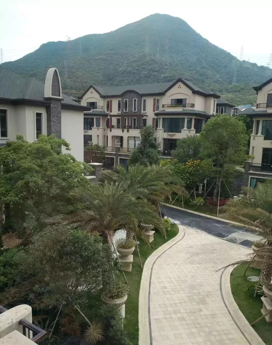 探索新澳门芳草地，官方网站首页网页版深度解析