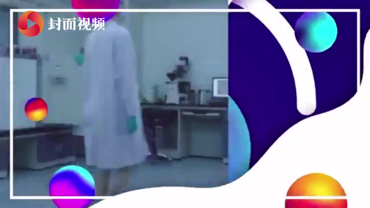 澳门新动向,揭秘红组论坛最新消息与新闻