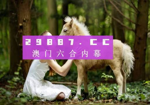 澳门彩开奖结果今日查询，全面汇总与深度解析