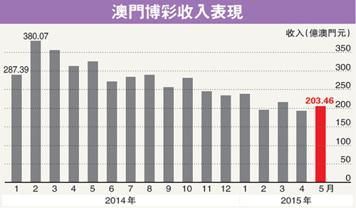 澳门彩生肖单双走势图表分析大全及答案,揭秘数字背后的秘密