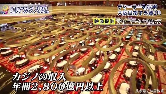 探索未来，2015年新澳门彩生肖走势图与预测分析