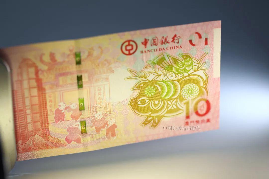 澳门彩生肖视频讲解，全面解析与最新趋势