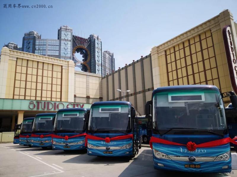 澳门彩新趋势，深度解析今日开奖走势图表大全