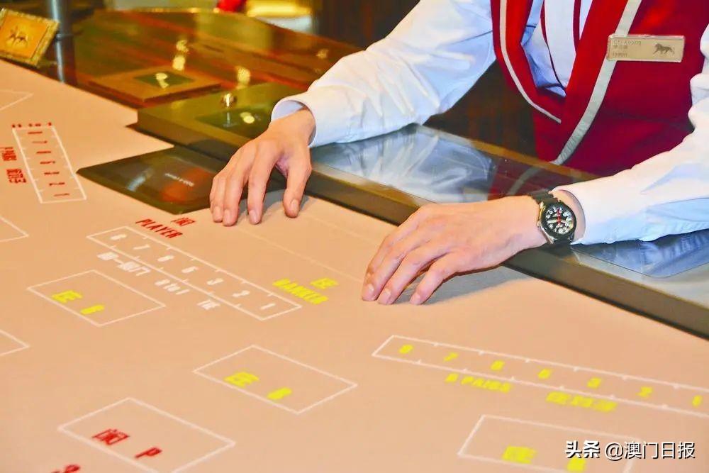 澳门彩开奖走势图表，2018年全面解析与未来展望