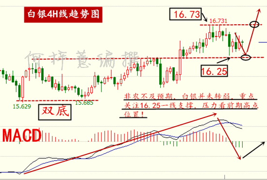 探索新澳门彩开奖走势，最新图片解析与价格趋势分析
