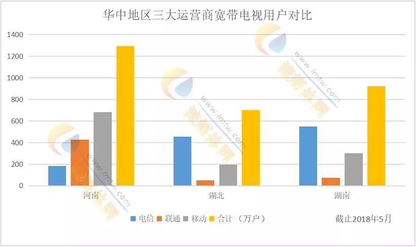 探索新澳门彩开奖综合走势，数据背后的奥秘与查询指南