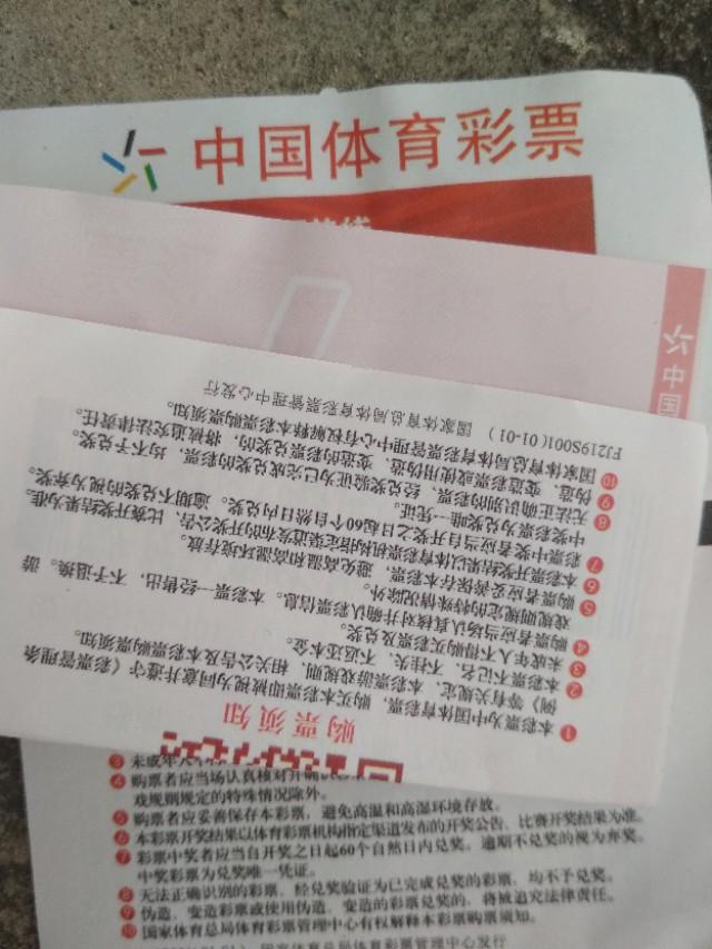 探索新澳门彩民之家论坛最新一期视频，揭秘彩票文化与社区互动的深度融合